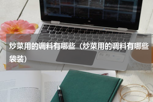 炒菜用的调料有哪些（炒菜用的调料有哪些袋装）