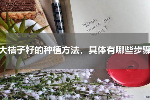 大桔子籽的种植方法，具体有哪些步骤