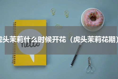 虎头茉莉什么时候开花（虎头茉莉花期）