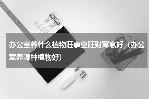 办公室养什么植物旺事业旺财寓意好（办公室养哪种植物好）