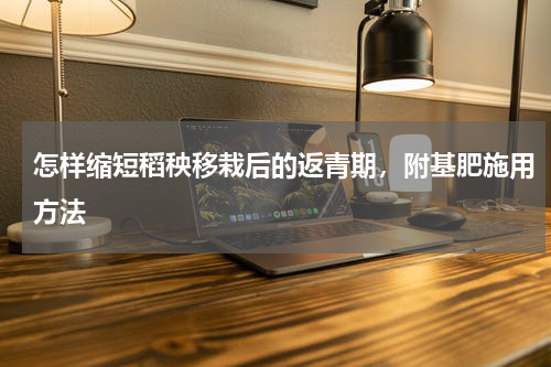 怎样缩短稻秧移栽后的返青期，附基肥施用方法