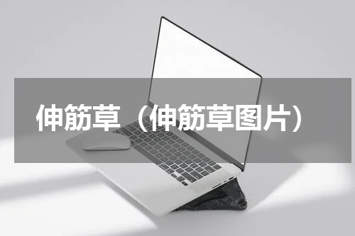 伸筋草（伸筋草图片）