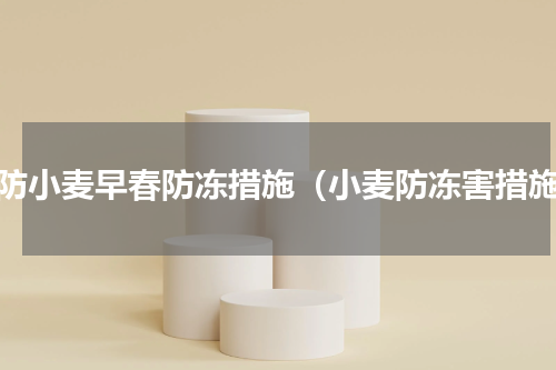 预防小麦早春防冻措施（小麦防冻害措施）