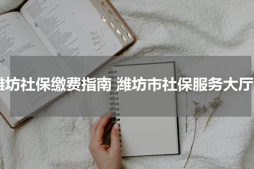 潍坊社保缴费指南 潍坊市社保服务大厅