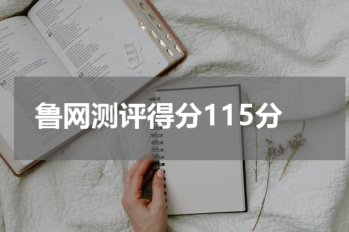 鲁网测评得分115分
