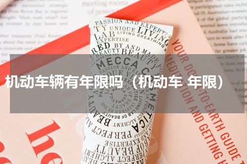 机动车辆有年限吗（机动车 年限）