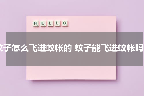 蚊子怎么飞进蚊帐的 蚊子能飞进蚊帐吗