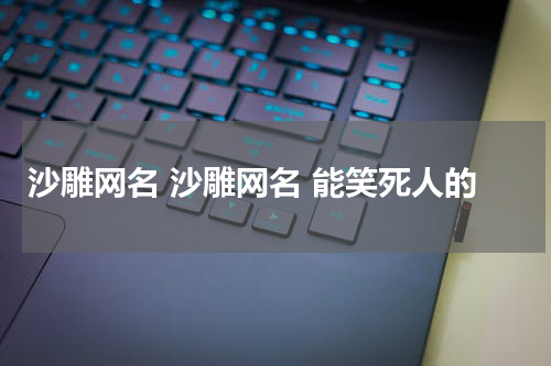 沙雕网名 沙雕网名 能笑死人的