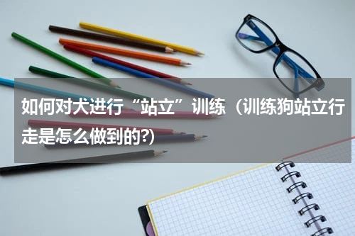 如何对犬进行“站立”训练（训练狗站立行走是怎么做到的?）