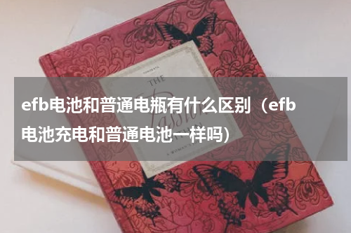 efb电池和普通电瓶有什么区别（efb电池充电和普通电池一样吗）