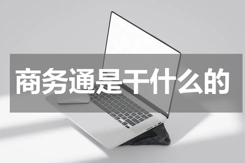 商务通是干什么的