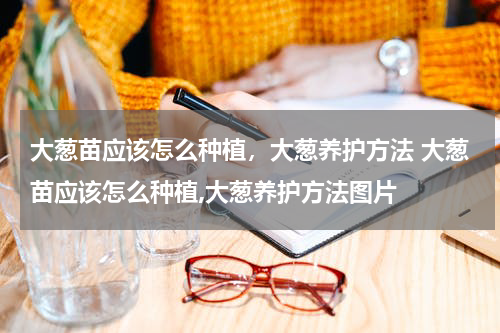 大葱苗应该怎么种植，大葱养护方法 大葱苗应该怎么种植,大葱养护方法图片