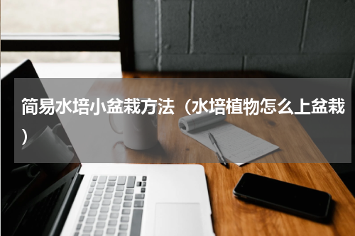 简易水培小盆栽方法（水培植物怎么上盆栽）