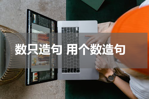 数只造句 用个数造句