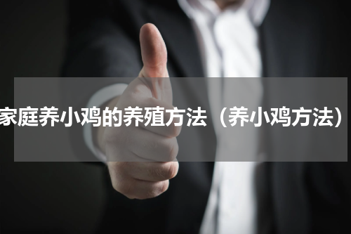 家庭养小鸡的养殖方法（养小鸡方法）