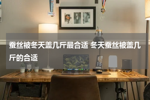 蚕丝被冬天盖几斤最合适 冬天蚕丝被盖几斤的合适