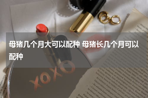 母猪几个月大可以配种 母猪长几个月可以配种