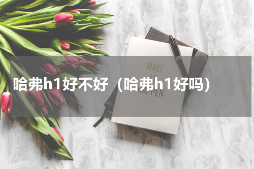 哈弗h1好不好（哈弗h1好吗）