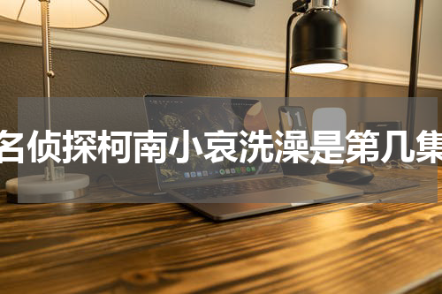 名侦探柯南小哀洗澡是第几集