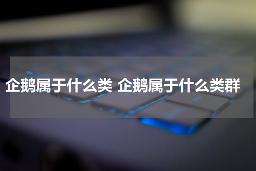 企鹅属于什么类 企鹅属于什么类群