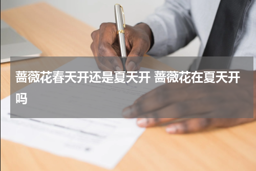 蔷薇花春天开还是夏天开 蔷薇花在夏天开吗