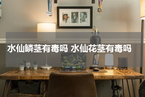 水仙鳞茎有毒吗 水仙花茎有毒吗
