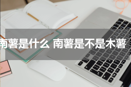 南薯是什么 南薯是不是木薯