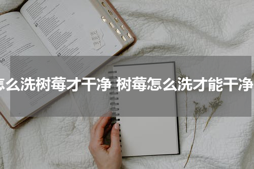 怎么洗树莓才干净 树莓怎么洗才能干净
