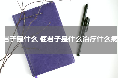 使君子是什么 使君子是什么治疗什么病