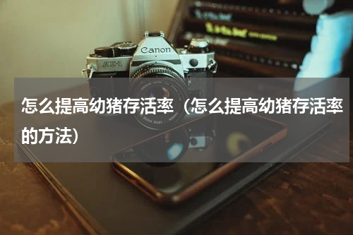 怎么提高幼猪存活率（怎么提高幼猪存活率的方法）