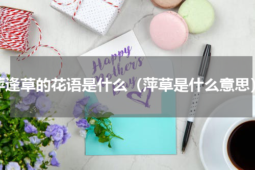 萍逢草的花语是什么（萍草是什么意思）