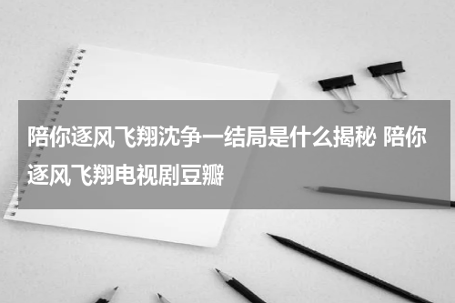 陪你逐风飞翔沈争一结局是什么揭秘 陪你逐风飞翔电视剧豆瓣