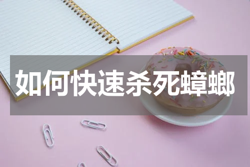 如何快速杀死蟑螂