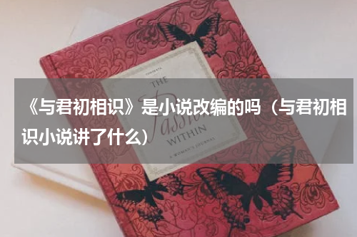 《与君初相识》是小说改编的吗（与君初相识小说讲了什么）