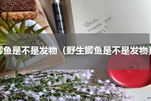 鲫鱼是不是发物（野生鲫鱼是不是发物）