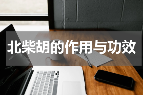 北柴胡的作用与功效