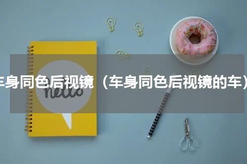 车身同色后视镜（车身同色后视镜的车）