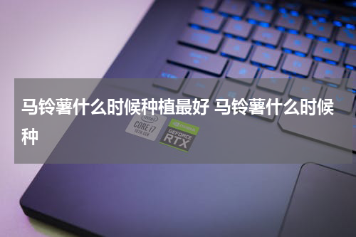 马铃薯什么时候种植最好 马铃薯什么时候种