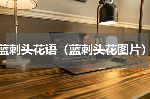 蓝刺头花语（蓝刺头花图片）