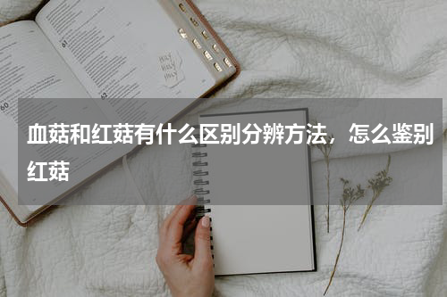 血菇和红菇有什么区别分辨方法，怎么鉴别红菇