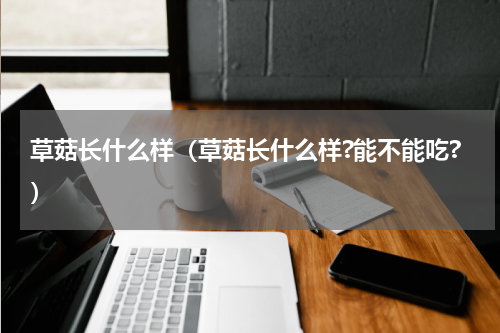 草菇长什么样（草菇长什么样?能不能吃?）