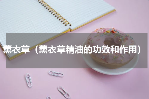 薰衣草（薰衣草精油的功效和作用）