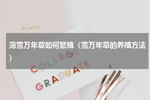 薄雪万年草如何繁殖（雪万年草的养殖方法）