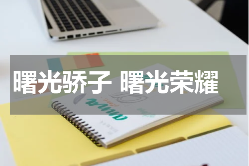 曙光骄子 曙光荣耀