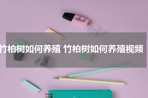 竹柏树如何养殖 竹柏树如何养殖视频