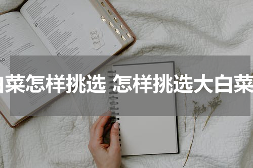 白菜怎样挑选 怎样挑选大白菜