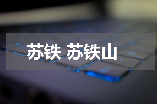 苏铁 苏铁山