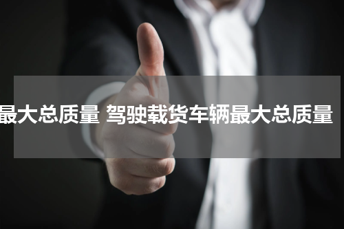最大总质量 驾驶载货车辆最大总质量