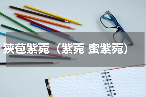 狭苞紫菀（紫菀 蜜紫菀）