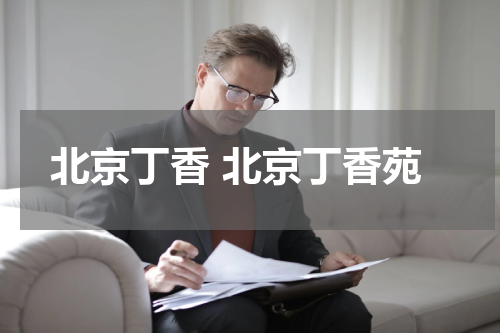 北京丁香 北京丁香苑